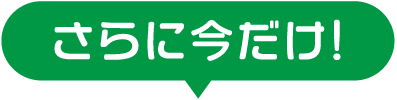 さらに今だけ